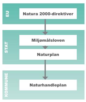 Figur 1: Figuren ovenfor viser planhierarkiet, hvor EU har vedtaget Natura 2000-direktiver, der i Danmark udmøntes via Miljømålsloven. Staten udarbejder Natura 2000-planer og kommunerne handleplaner.