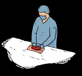 for transporten til alle parter. passes. 7 Efter organerne er opereret ud af donor, lægges de i en kølende væske og placeres i en transportkasse.