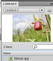 0 Navgiv laget Importér billede Dobbeltklik på det tomme lag på navnet Layer 1, og omdøb det til baggrund Vælg File