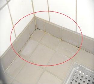 Figur 28. Misfarvning af fuger i bruseniche. Vurdering Denne badeværelsestype vurderes at fungere godt efter hensigten.