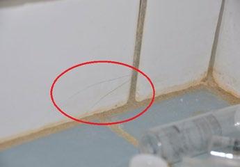 Fra SBi s gennemgang af tre badeværelser blev det konstateret, at der var revner i fliserne på alle badeværelserne (beliggende over hinanden). Revnerne optrådte ca. 50 mm over gulvet i brusenichen.
