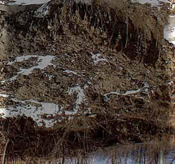 Udfordringen i Nationalpark Mols Bjerge er, at der er få blotninger, hvor man kan undersøge den geologiske opbygning og dermed fastlægge hvilke istids- og
