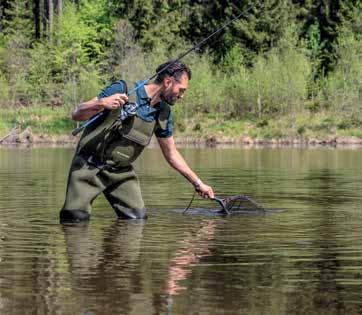 Free fishing // In the ocean, along the coasts Rainbow trout (with the exception of some river deltas) and in Regenboogforel Regnbueørred the five largest inland lakes (Vänern, Vättern, Bass Baars