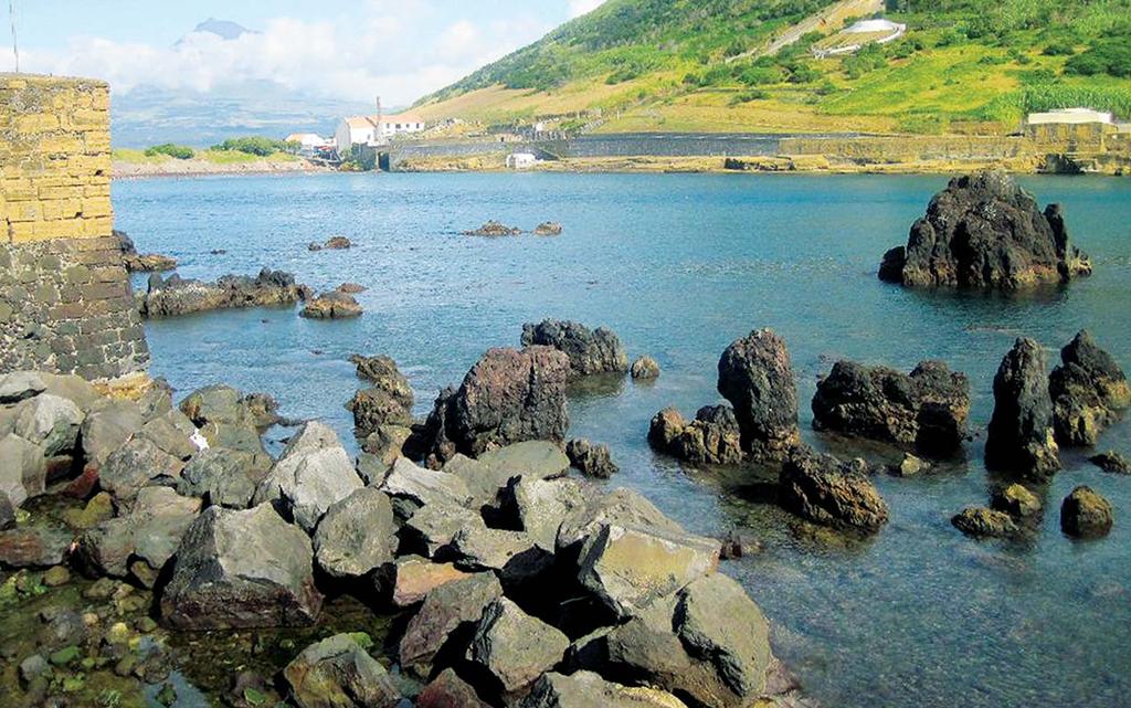 Den nordlige havnebugt med det tidligere hvalkogeri i Horta og monumentet til minde om hvalfangsten på Azorerne, der først sluttede i 1987.