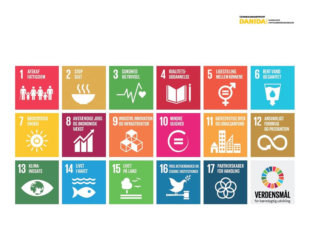 FN s 17 verdensmål for bæredygtig