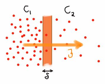 Diffusionskoefficient i membranen P = β D m Massiv+homogen