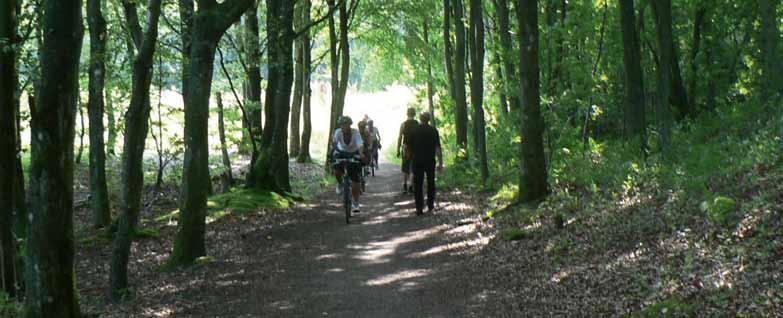 Cykel- og vandre ruter I Tversted Klitplantage findes afmærkede vandreture rundt i klitplantagen og omkring Tversted Søerne. Borde og bænke forefindes. Stor naturlegeplads.