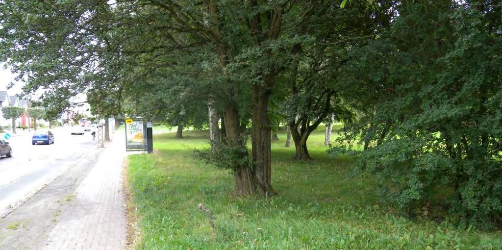 156 ODENSE LETBANE VVM OG MILJØVURDERING sig til Odense Ådal. I krydset mellem Nyborgvej og Ørbækvej står to ældre træer, som potentielt kan anvendes af insekter, flagermus og fugle. Figur 10.