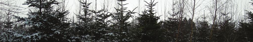 Juletræet med sin pynt Juletræets historie i Danmark er forholdsvis kort.