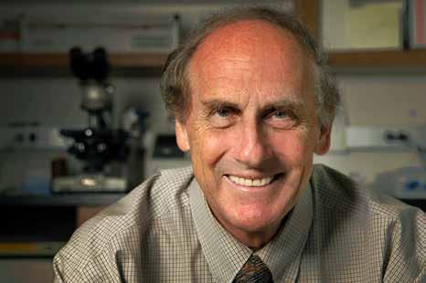 Figur 2. Ralph Marvin Steinman (1943-2011) opdagede immunsystemets dendritiske celler (DC) og karakteriserede deres funktion og rolle i organismens forsvar mod infektioner og andre sygdomme.