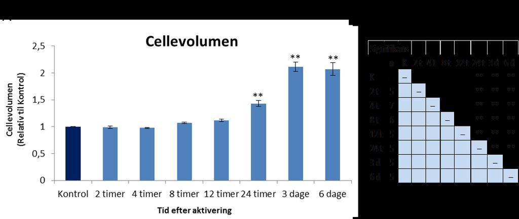 T-cellers volumen øges ved aktivering På Figur 17A ses volumenet af de aktiverede T-celler udregnet relativt til Kontrolcellerne. Cellevolumen blev beregnet ud fra målingerne i Isoton Ringer.