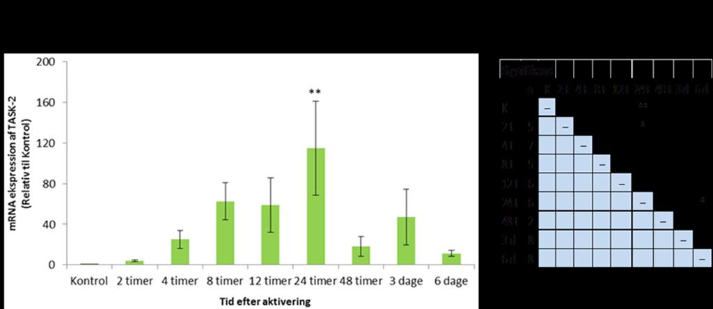 4.2 mrna ekspression af TASK-2, Kv1.3 og KCa3.1 Niveauet af TASK-2, Kv1.3 og KCa3.1 mrna ekspression i de aktiverede T-celler blev undersøgt ved Real Time PCR.