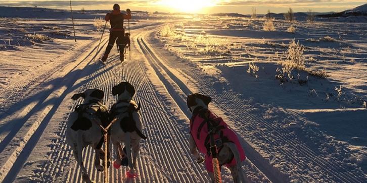 Hemsedal Skisportscenter ligger i hjertet af Hemsedal og tæller 20 skilifte