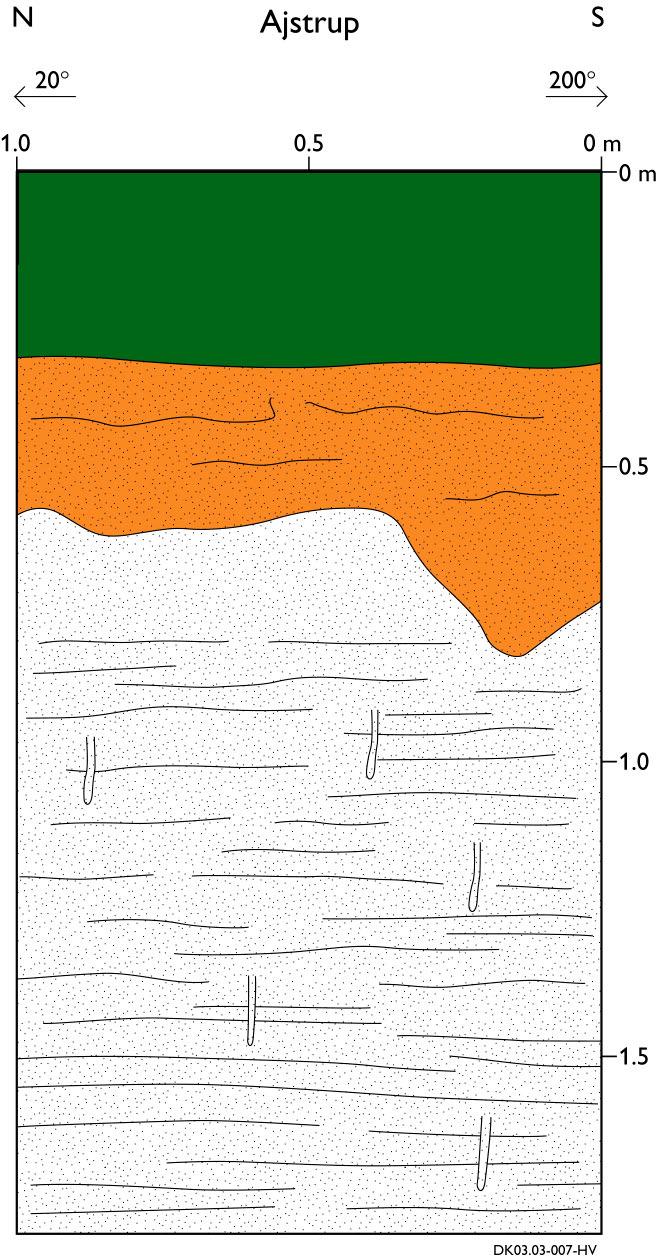Figur 3.8. Optegnelse af profilvæg i lille udgravning på Ajstrup undersøgelsesmark, ca.