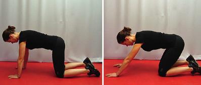 11 Knæfirstående hoftebøjning Stå på alle fire med lige ryg Skyd kropsvægten bagud mod hælene (bevægelsen sker i hofteleddet) undgå