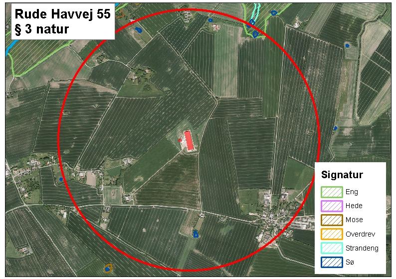 Kort 2: 3 beskyttet natur omkring ejendommen Rude Havvej 56. Cirklens radius udgør 1000 m.