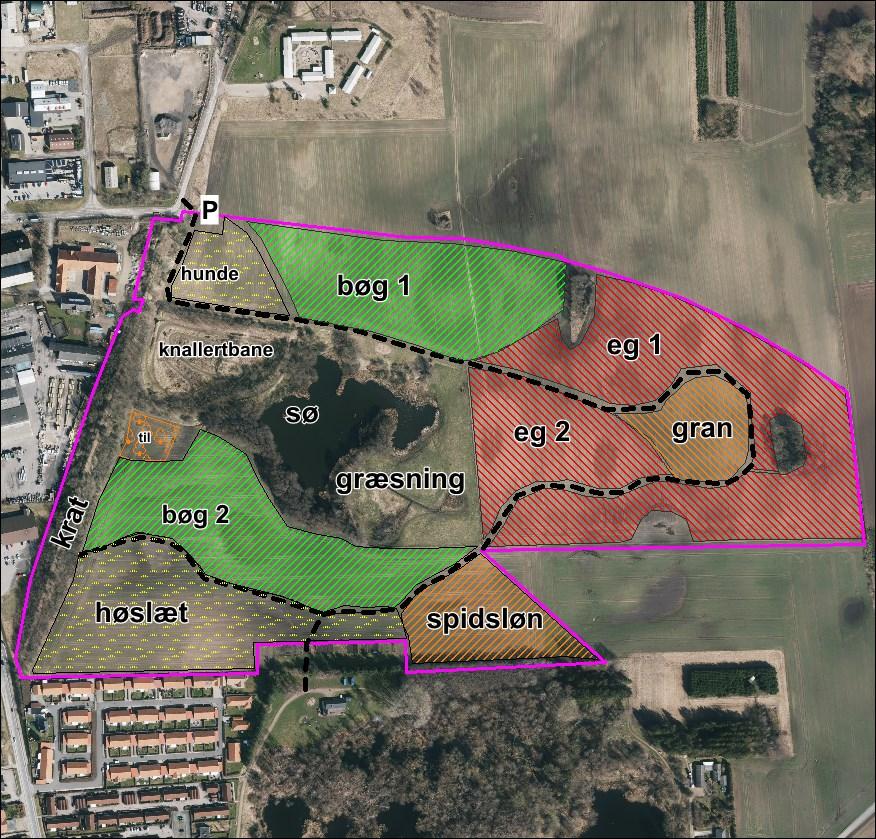 Bilag: Tilplantningsplan for arealer april 2018 tilrettet efter drøftelsen i rådet Den pink streg er projektområdets grænse, som er på ca 27 ha.