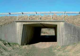De 4 er underføringer af kommuneveje og vandløb, hvor tunnelerne er udført med brodæk af bjælkeelementer, som er sammenstøbt på stedet ( gur 20) og 3 er underføringer af private veje, der er udført