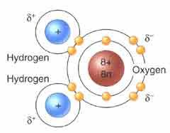 14 Atommasse: En anden vigtig ting ved atomer er deres masse kaldet atommassen. Et grundstofs atommasse bliver bestemt ud fra antallet af protoner og neutroner i kernen, og måles i enheden Unit.