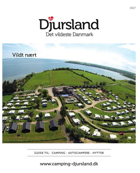 Den skaber et overblik over hvad Djursland er, inspirerer og brander Djursland i Danmark og udlandet. Online markedsføring fungerer bedst sammen med print.