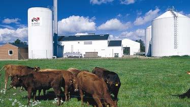 Samfundsøkonomisk værdi af biogas