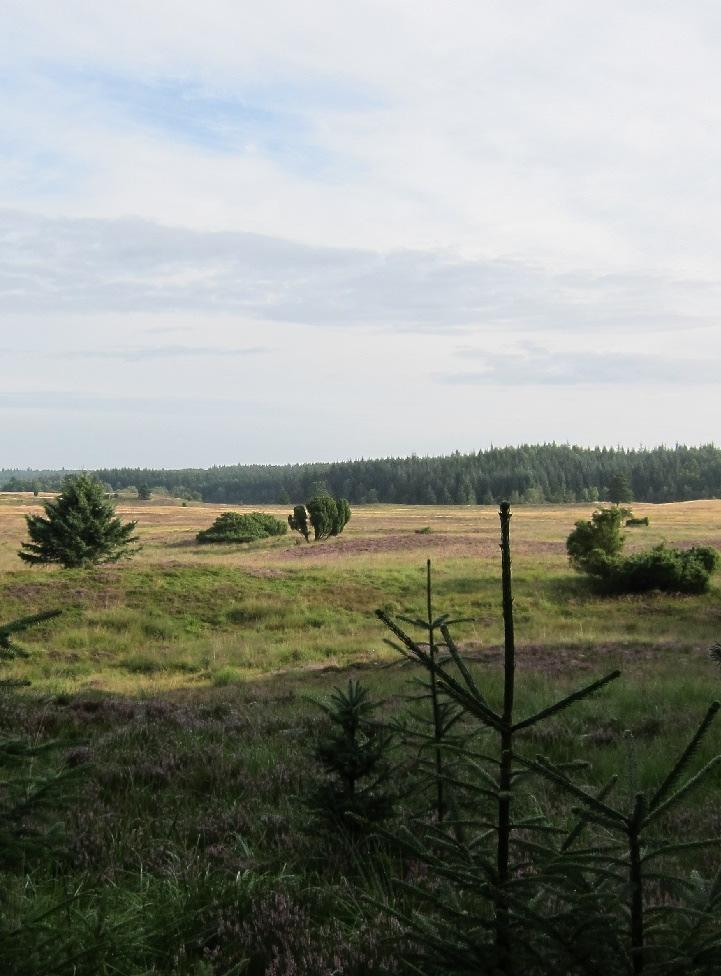 Natura 2000-handleplan 2016 2021 Sepstrup Sande, Vrads Sande, Velling Skov og