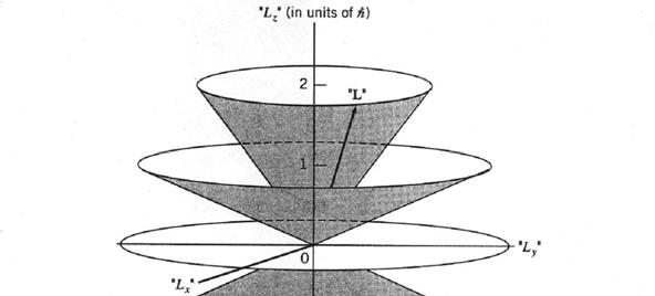 Kvantemekanik 9 Side 8 af 8 Denne figu 9 visualisee en bevægelsesmængdemomentvekto L fo l = hvilket jf.