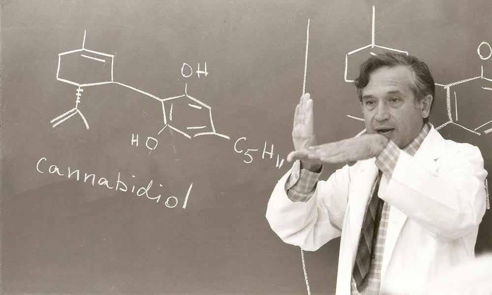 Raphael Mechoulam afdækkede de kemiske strukturer af to hovedkomponenter i planten, de aktive stoffer Tetrahydrocannabinol (THC) og Cannabidiol (CBD).