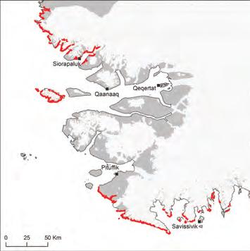 bestanden yngler på de nordvestgrønlandske kyster ved Nordvandspolyniet.