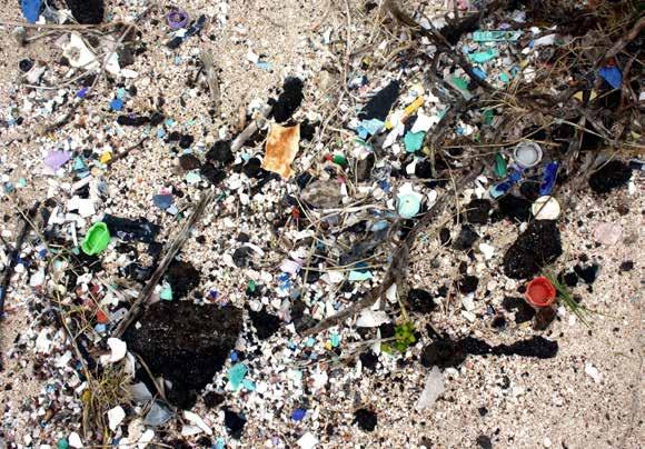 Miljøet har brug for Plastic Change Det er blevet mere tydeligt end nogensinde, at der er hårdt brug for Plastic Change, hvis vi skal afværge de mange alvorlige effekter af plastikforureningen og
