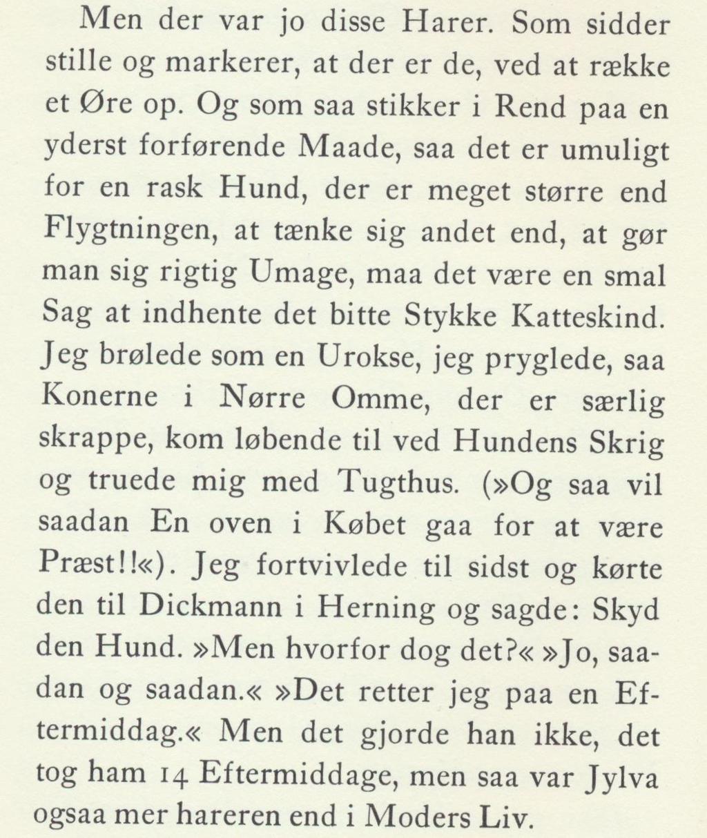 På samme prøve ved Herning førte Chr.Dichmann, der boede nær ved Laurids og også havde en lille gård, 3 hunde i uk om formiddagen og om eftermiddagen hund i ak.
