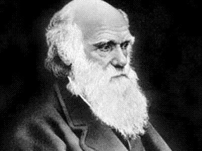 מזמור ק"ד בתהילים ותאוריית האבולוציה של דרווין דף עבודה בנושא חשיבה סיבתית וחשיבה תכליתית חלק א': )0 א. ב. ג.
