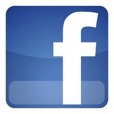Mød os også på facebook og Kom gerne med din egen kommentar. Flagermusdetektor BFN er indehaver af en flagermusdetektor, der kan registrere flagermusens lyd.