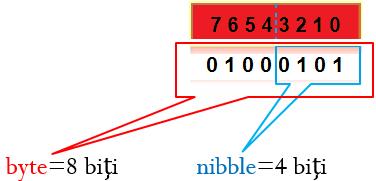 Partea I I - 8 Câte combinańii (sau numere binare) putem scrie folosind un octet?