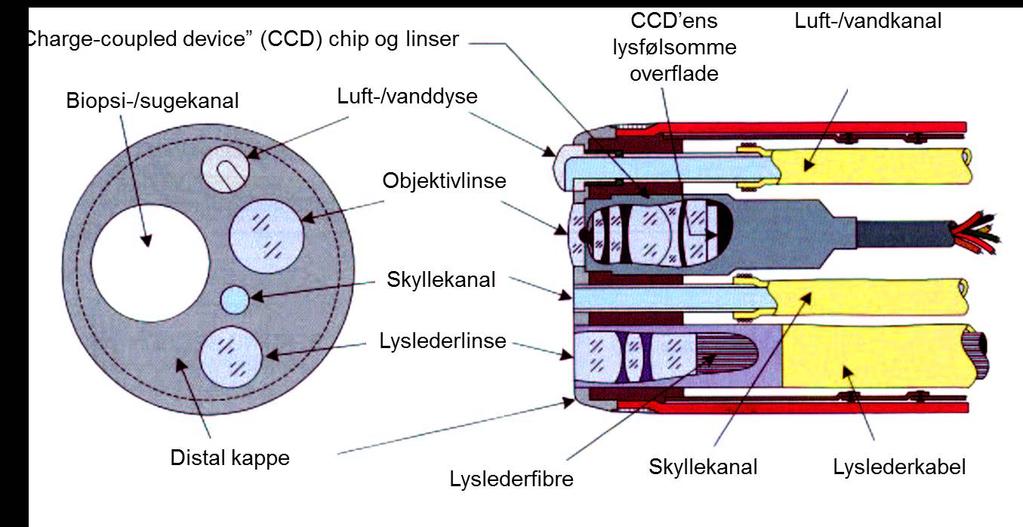 Som det fremgår af figurerne, kan endoskopet eksempelvis have 4 kanaler: Biopsi/sugekanal, luftkanal, vandkanal samt en ekstra vandkanal ( water-jet ).