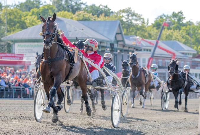 1 er i $105.000 Lady Ann Reed Stakes, Hanover Filly Stakes, Windy Sweeter Stakes, Violet Filly Stakes, American-National Stakes Elim. 2 er i 2 divisioner af Fox Valley Flan Stakes, $80.