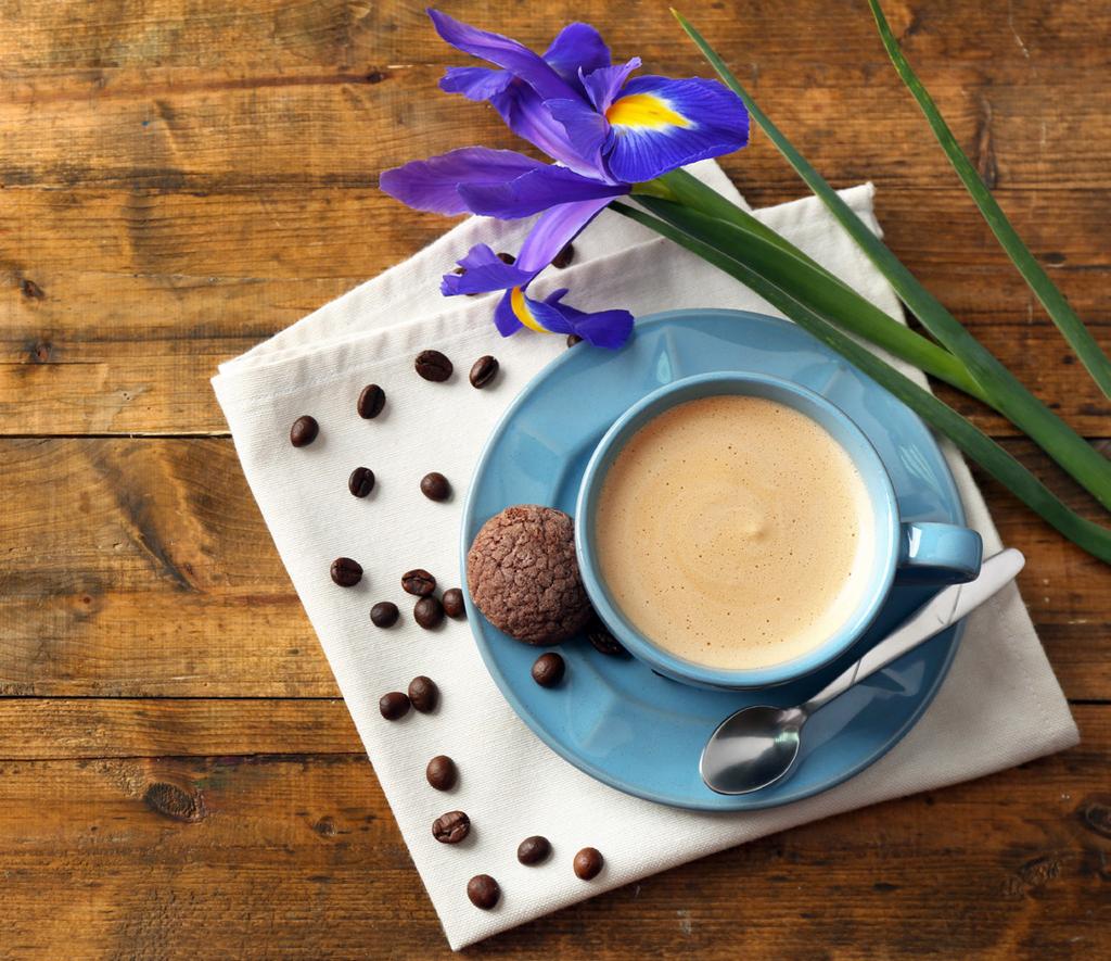 Cappuccinoblanding - den første økologiske version på det danske marked Indeholder kaffe, mælk,