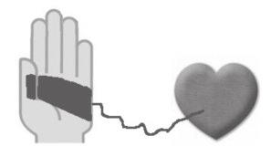 spænding fremkaldt ved kontraktion af hjertet, og dette fortolkes af elektronikken Hold altid begge hænder fast på kontaktfladerne Undgå at omslutte dem i ryk Hold hænderne stille og undgå