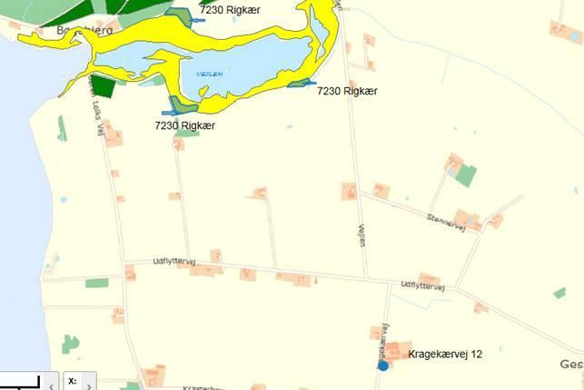 Som angivet på kort ovenfor er der ved Tåsinge Vejle (Vejlen) arealer, der er kortlagt som habitatnaturtyper 7230 Rigkær. Natura 2000-område nr. 127 Sydfynske Øhav.