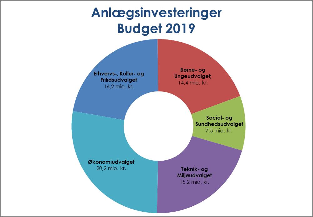 Anlægsinvesteringer I budgettet for 2019 er der afsat 73,4 mio. kr. til anlægsinvesteringer.