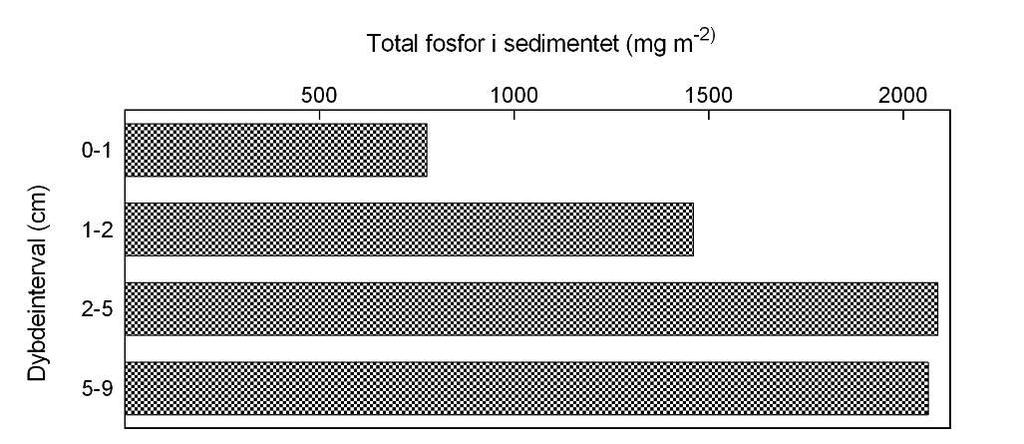 Figur 1. Fordelingen af total fosfor mod dybden i Filsø i september 2013. Fosfortabet i de øverste 2 cm af bunden i forhold til større dybder fremgår tydeligt.