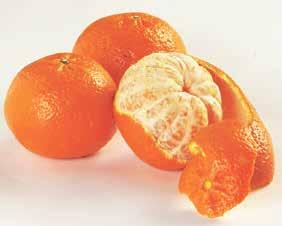 bakke KUN 15 00 Søde økologiske Appelsiner 2
