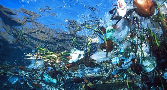 Affald og spildevand, der udledes i havet, giver miljømæssige