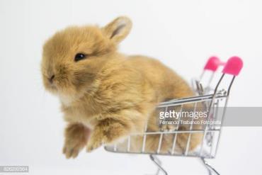 Fredag 1-2 Februar 2019 I dag står den på kanin shoppetur, vi tager fra klubben ca 14.45 og er hjemme ca 16.30/16.45 Husk penge og shoppe for.