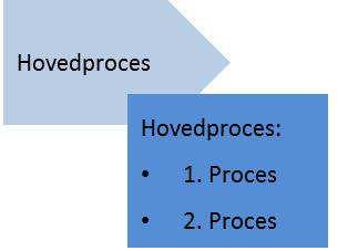 Udgangspunktet er de processer, der blev identificeret i forbindelse med foranalysen til GD1. Herudfra er de hovedprocesser og processer, der er i scope i delprogrammet, fastlagt.