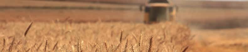 En landmands job er at så korn på markerne og høste det. Et af de navne Jesus bruger om sig selv er hvedekornet.