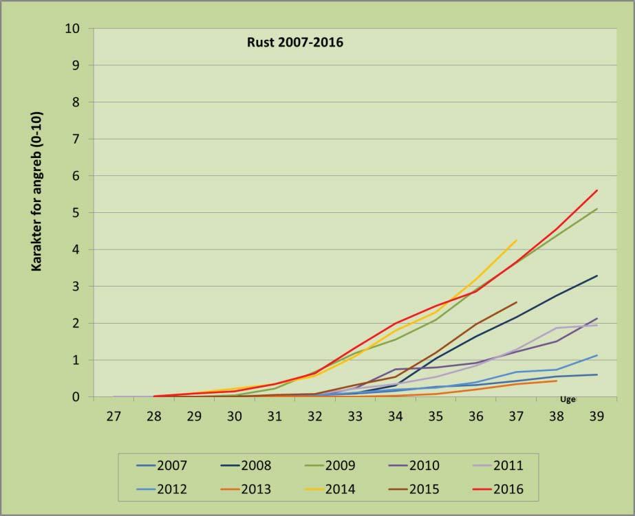 Figur 4. Udviklingen i angreb af rust i sukkerroer i 2007-2016. Med hensyn til Ramularia har der kun været svage og sene angreb af i 2016.