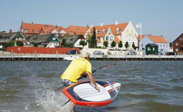 34 35 Strandaktiviteter Drageflyvning Fanø er et eldorado for drageflyvere. Den brede strand og de stabile vindforhold gør Fanø til et af de bedste steder i verden for drageflyvning.