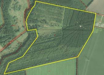 Omtrentlig arealfordeling: Hektar Andel i % Agerjord: 118 ha 76 % Skov,
