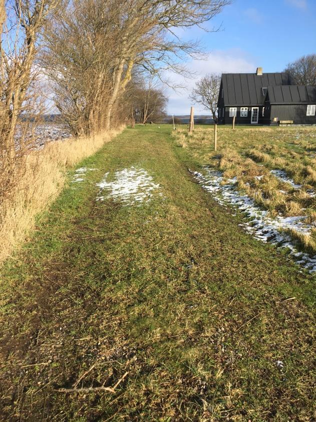 Feb. 2018 rev.2 Fotoet til venstre nedenfor er fra Skarø. Det viser hvordan en nuværende adgangsvej falder naturligt ind i naturen.